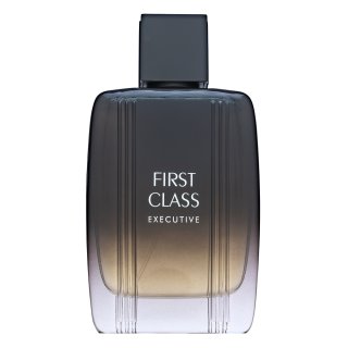 Aigner First Class Executive Eau de Toilette da uomo 100 ml