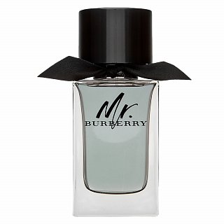 Burberry Mr. Burberry Eau de Toilette da uomo 100 ml