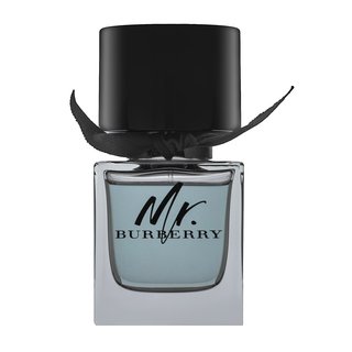 Burberry Mr. Burberry Eau de Toilette da uomo 50 ml