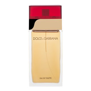 Dolce & Gabbana Femme Eau de Toilette da donna 100 ml