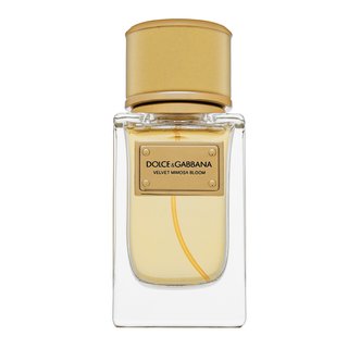 Dolce & Gabbana Velvet Mimosa Bloom Eau de Parfum da donna 50 ml