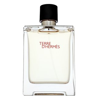 Hermes Terre D'Hermes Eau de Toilette da uomo 100 ml