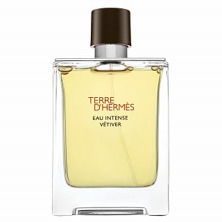 Hermes Terre D'Hermes Eau Intense Vetiver Eau de Parfum da uomo 100 ml