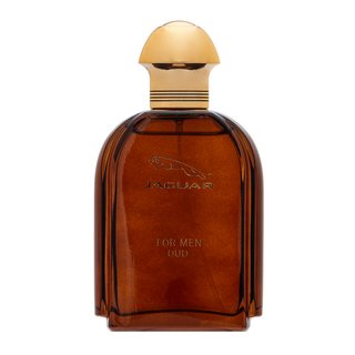 Jaguar Oud For Men Eau de Parfum da uomo 100 ml