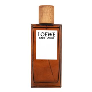 Loewe Pour Homme Eau de Toilette da uomo 100 ml