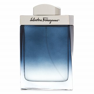 Salvatore Ferragamo Subtil Pour Homme Eau de Toilette da uomo 100 ml