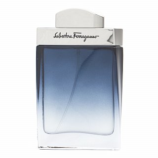 Salvatore Ferragamo Subtil Pour Homme Eau de Toilette da uomo 50 ml