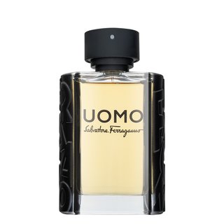 Salvatore Ferragamo Uomo Eau de Toilette da uomo 100 ml